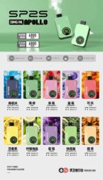 SP2S 12000口一次性電子煙｜Type-C 可充電設計・超長續航體驗【買10送1 隨機贈送，數量有限送完即止】